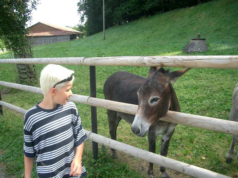 Begegnung direkt am Campingplatz