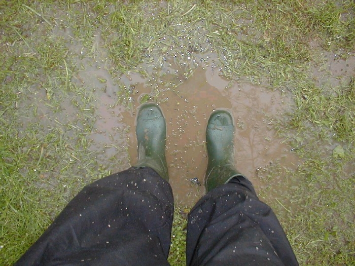 ...als der Regen kam...