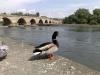 Kastlhof Steinerne Brcke Regensburg