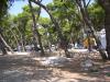 Blick vom Strand zum CP Blick vom Strand zum CP
