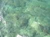 glasklares Wasser glasklares Wasser