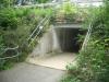 Tunnel zum See Tunnel zum See