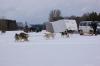 Tango im Schnee Tango im Schnee